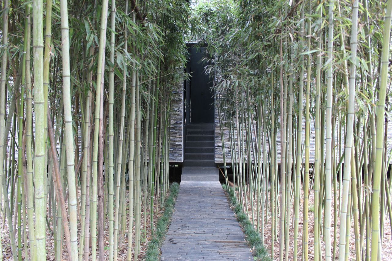 A tunnel of densely packed bamboo leads to the entrance of this villa designed by David Adjaye.