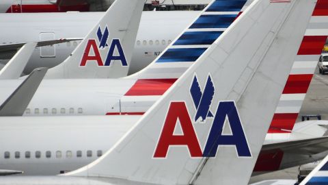 An American Airlines flight attendant had to get five stitches after an  emotional-support animal bit him | CNN