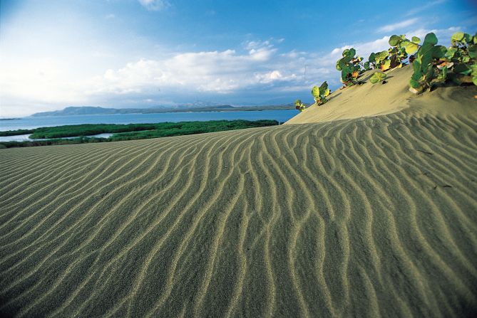 The sand dunes of Barahona are the largest in the Caribbean. The flora of the area (cactus and shrubs) differs from the rest of the country. Barahona is also home to the largest lake in the Caribbean and a highway along the coast with breathtaking vistas.