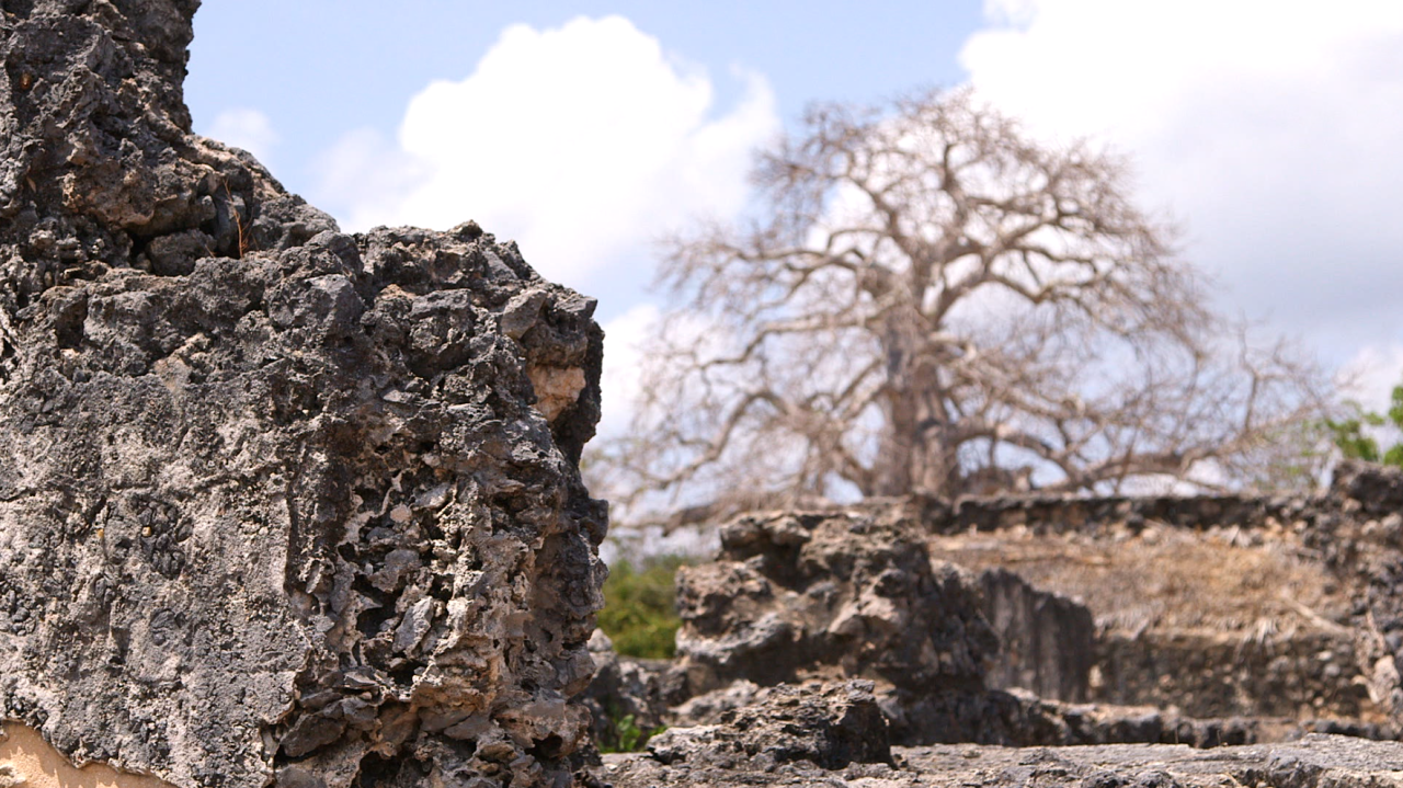 The coral stone and limestone dug up from under the Indian ocean to create the ancient architecture at Kilwa Kisiwani.