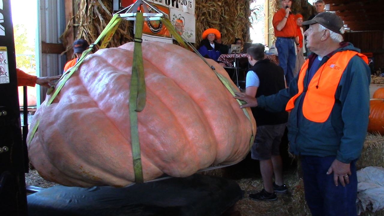 Gervais growers at the Bauman Harvest Festival in Oregon unveil a 1,997-pound pumpkin. 