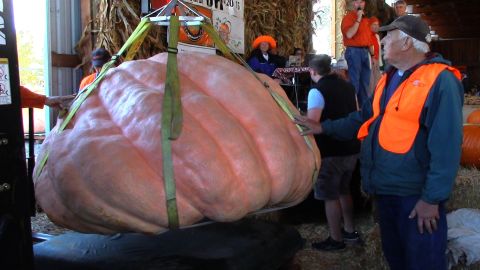 Gervais growers at the Bauman Harvest Festival in Oregon unveil a 1,997-pound pumpkin. 