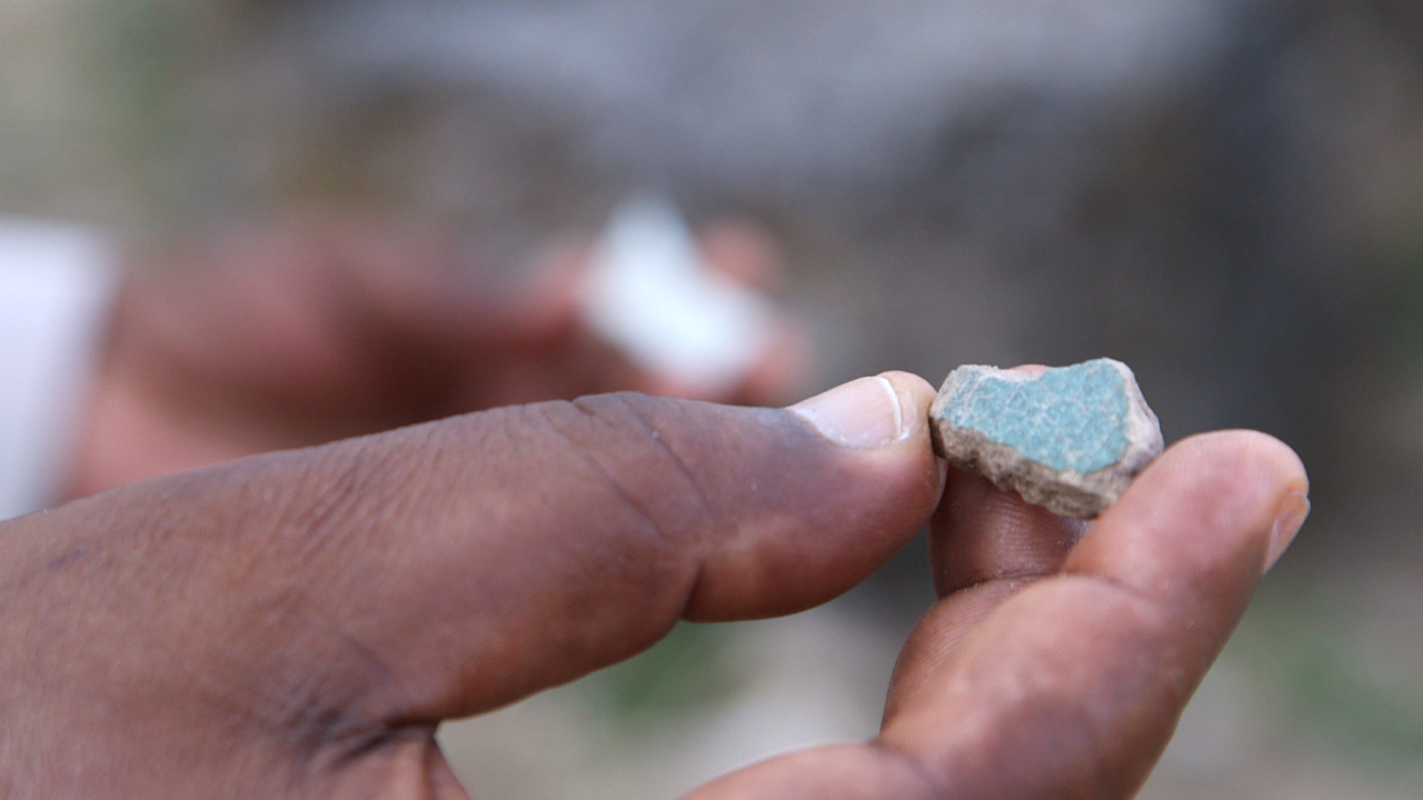 Felix Chami show us a sample of turquoise Arabic monochrome pottery at the Kilwa site. In his left hand, he holds a sample of Chinese ware dating back to around 1300 AD. 