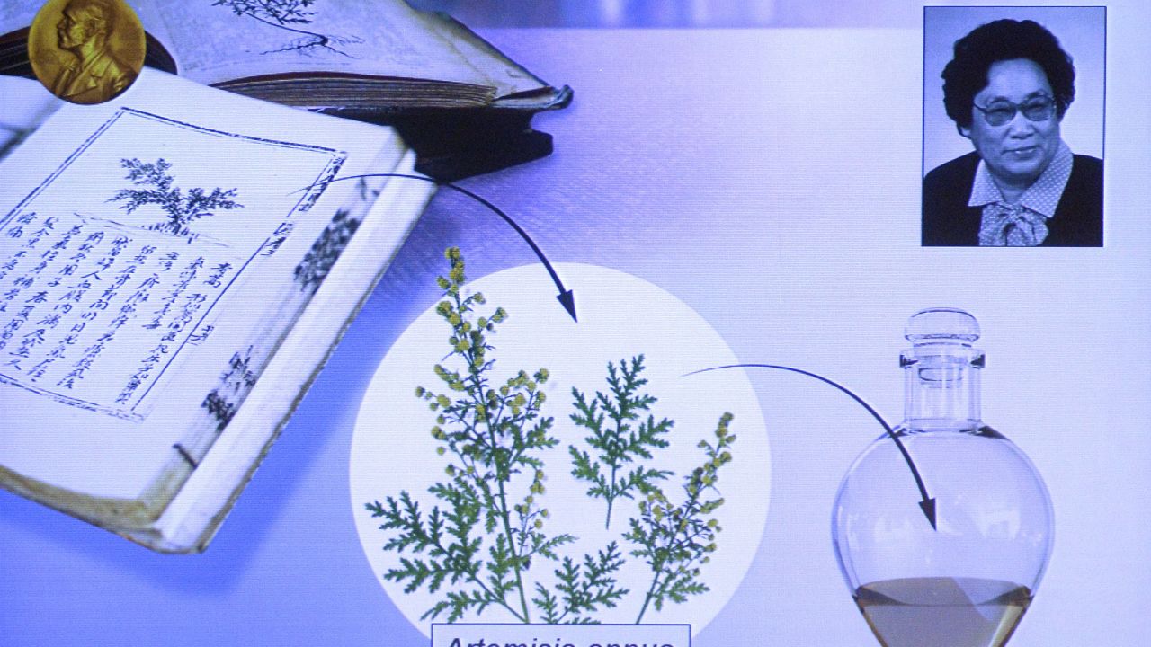 China's Youyou Tu and an illustration describing her work are displayed on a screen during a press conference of the Nobel Committee to announce the winners of the 2015 Nobel Medicine Prize on October 5, 2015.
