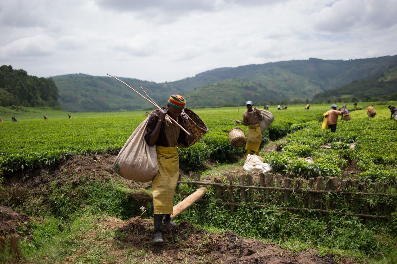 Within the top 20 nations globally for the quality of its institutions and labor market efficiency, Rwanda continues its five-year ascent. Its tea industry may be growing, but low infrastructure, health and higher education rankings are preventing it climbing higher up the rankings.