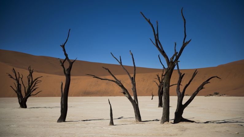 <strong>Namibia:</strong> In Namib-Naukluft National Park, dead trees stand out in the salt desert of Sossusvlei. 