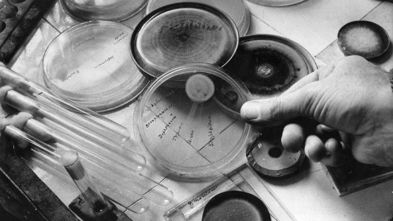 The discovery of penicillin is considered a landmark in medical history, marking the beginning of antibiotic use. In 1928, Englishman Alexander Fleming discovered a strain of mold on some contaminated petri dishes: It was penicillin. It would be another decade before scientists understood the full potential of this mold. The challenge became scaling up production. American scientists lucked out when they found a strain of penicillin on a moldy cantaloupe at a Peoria, Illinois, grocery store. It grew 200 times as much as the strain Fleming found. Thanks to penicillin, the mortality rate of bacterial pneumonia fell from 18% during WWI to less than 1% in WWII.