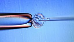 13 medical innovations stem cell research