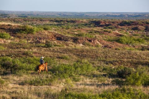 Located near Vernon, Texas, the ranch comes with a whopping half-a-million acres of land. 