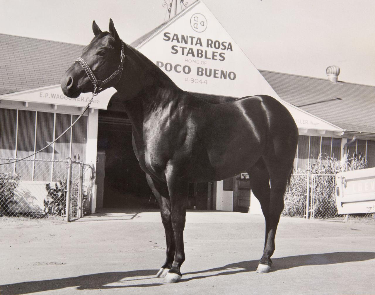 Even the animals are famous. Esteemed shire horse Poco Bueno, the first horse insured for $100,000, worked there and was buried standing fully upright at the behest of the Waggoner family.