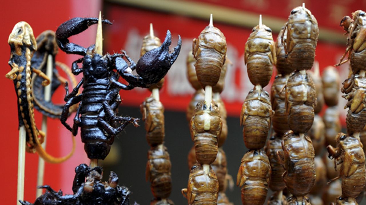 A silk worm larvae to start, then scorpion for the main course.