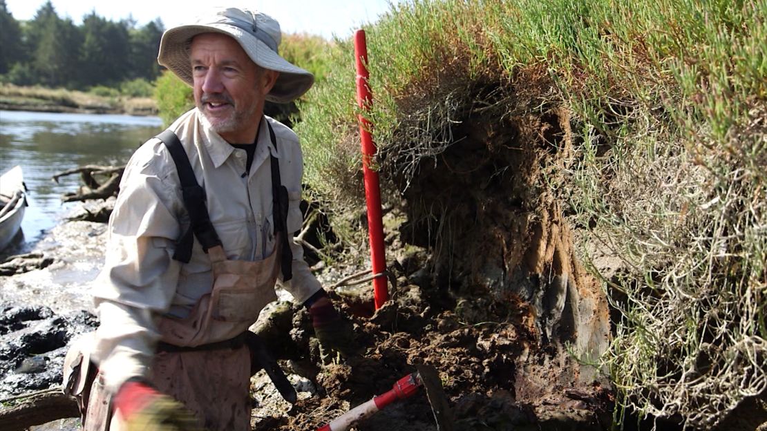 USGS geologist Brian Atwater shows a legacy from when the Cascadia ruptured in 1700: It created a tsunami whose impact is marked today by a layer of sand atop what was the forest floor, on a bank near Copalis Beach, Washington.