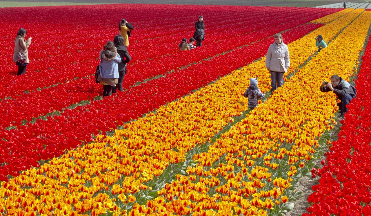 With its colorful fields of tulips, the Netherlands attracts plenty of tourists, but total business travel spending for last year also came to a whopping $17.8 billion.