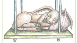 Book Puts Kids Sleep Rabbit orig_00001524.jpg
