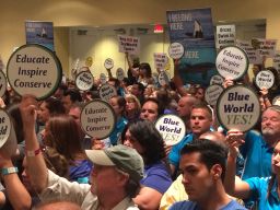 Supporters of the SeaWorld project carried signs reading "Blue World Yes!"