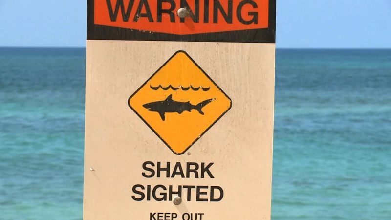 Hawaii shark attack injures surfer | CNN
