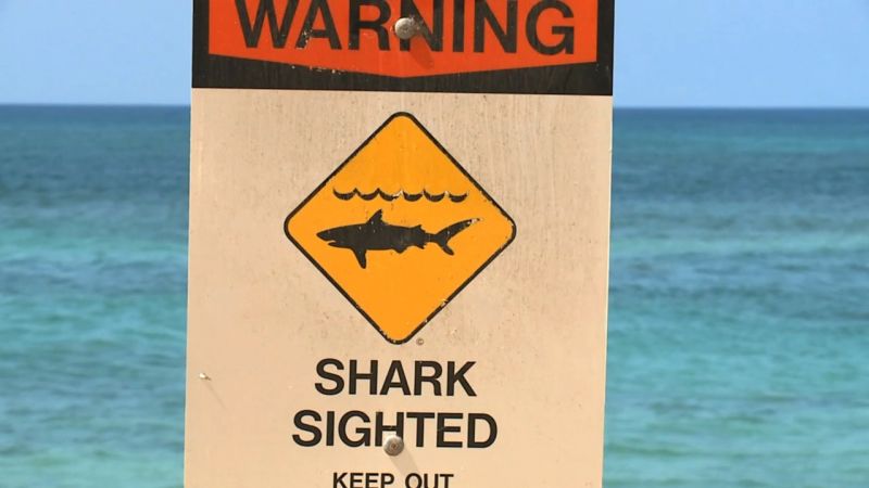 Hawaii shark attack injures surfer | CNN