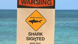 A man was bit by a shark. This is the area where it happened.     Date Shot:  09 Oct 2015    Location Shot:  North Shore of Oahu