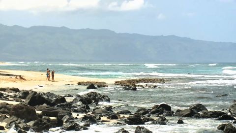 Attack happened along rugged north shore of Oahu at popular Leftovers Beach surf spot 