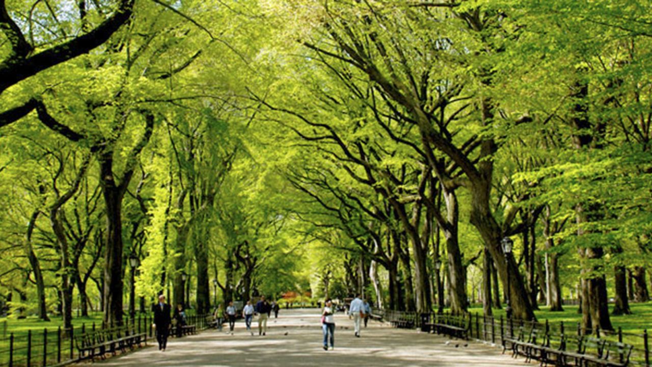 You don't have to get away from the city to get away from the city.