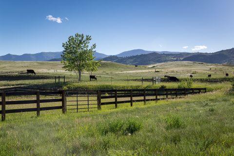 The ranch near Boulder spans 144 acres and the property is 10,600 sq ft in size.  