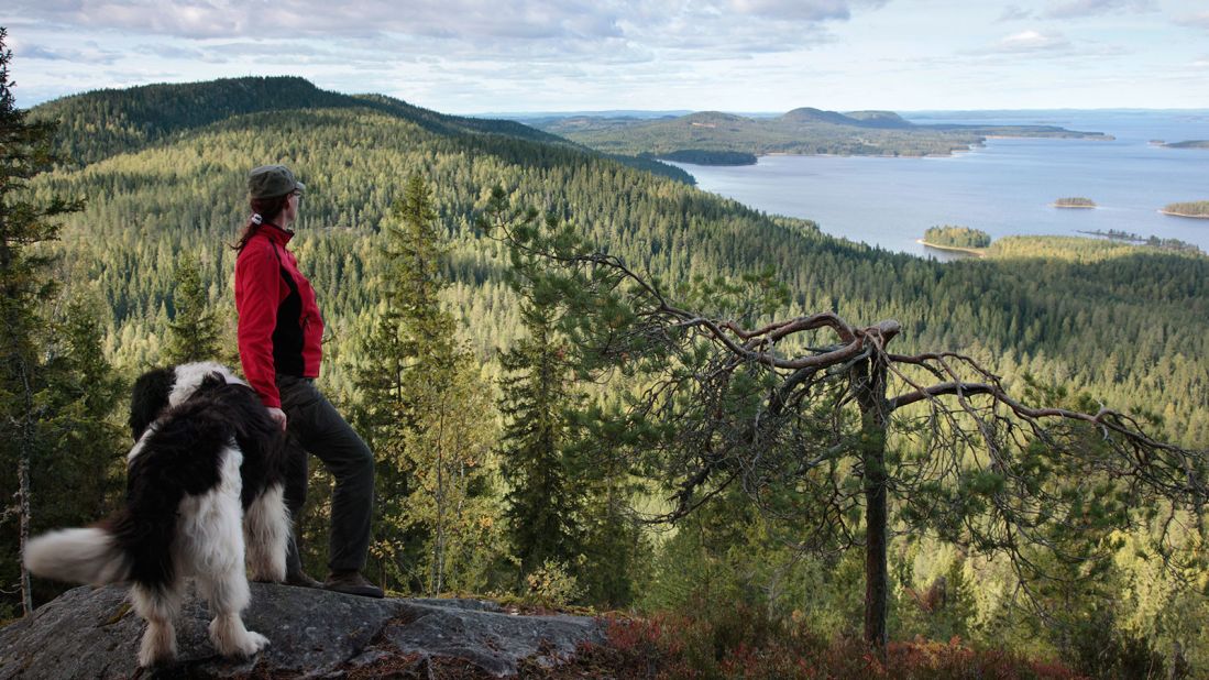 Koli's tree-covered landscape makes it a popular hiking destination in the fall, when the leaves change colors. This view by Karvinen shows the vista from Makravaara peak, above Lake Pielisjarvi, in western Finland. 