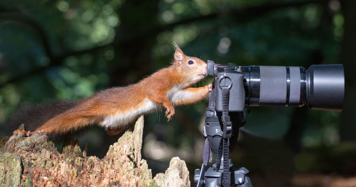 "I think you'll better capture the vibrancy of the colors if you increase the exposure." Photo by Julie Hunt. 