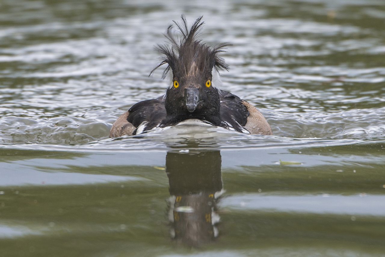 Looks like somebody had a rough night. Photo by Michael Erwin. 