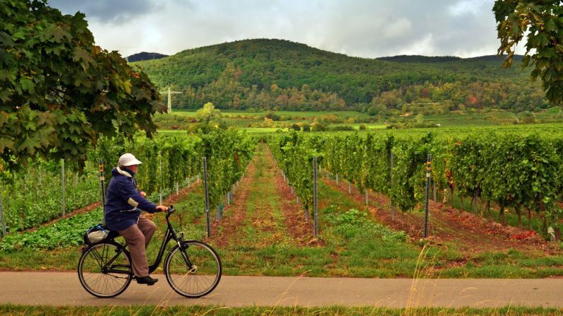 <strong>German Wine Route:</strong> This nearly century-old route, designed to connect the main wineries on the left bank of Germany's Rhine river, passes through 37 towns and villages. 