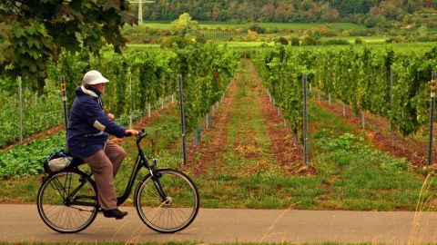 German Wine Route has been around since 1935, making it one of the country's oldest touring routes