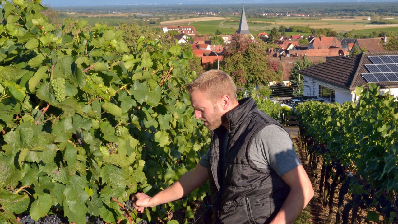 At 37, Andreas Grimm is one of a new, younger generation of wine makers in the region. His family own vineyards in Schweigen.