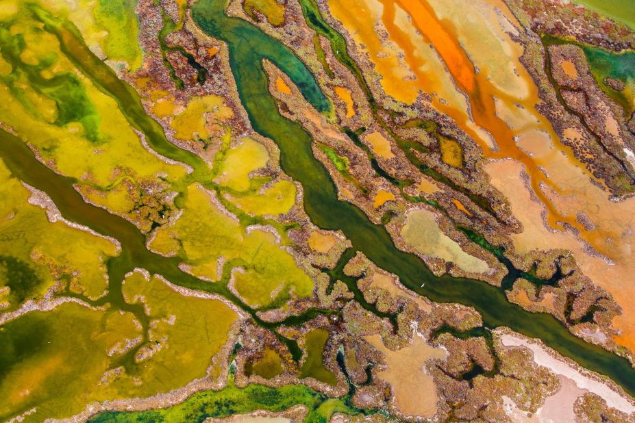 <strong>Category: From The Sky</strong><br />The art of algae by Pere Soler, Spain.<br />The aerial view of marshland in Andalucia bursting with intense colour, creating a rich tapestry of textures and patterns.