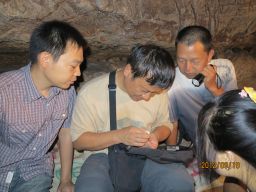 The research team now hope to DNA test the teeth to determine the origin of the Daoxian population.