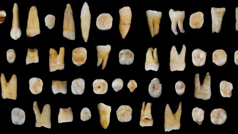 These 47 teeth, estimated to be between 80,000 and 120,000 years old, were found in a cave in Dao county, Hunan province in China.