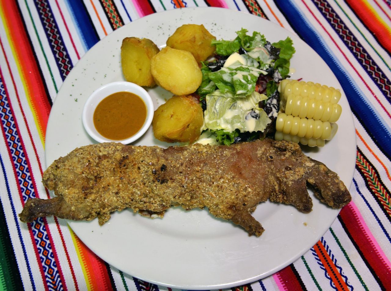 Deep-fried whole, guinea pig tastes similar to rabbit. You can eat it with your hands, much like eating a chicken drumstick. While a single guinea pig won't exactly feed a family of four, there's ample meat for a decent starter.