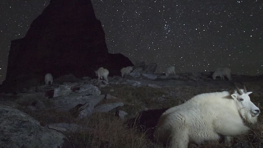 Wildlife photographers NATPKG_00005719.jpg