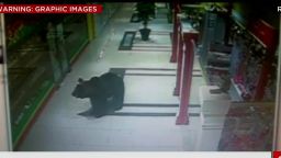 russian bear rampage asher dnt newsroom_00001413.jpg