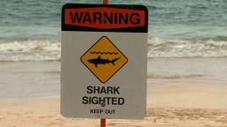10 mile stretch of beach cleared after shark attacks swimmer off Hawaiian Island of Oahu 