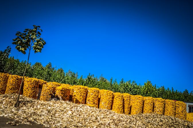 What strikes us about our journey is the corn. There's this perception that Chinese people eat rice, but we saw corn for 10 straight days!