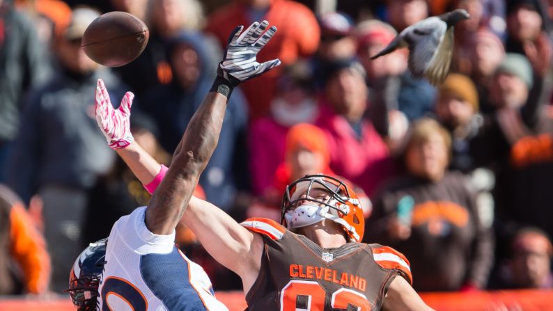 A bird flies near Denver safety David Bruton, left, as he defends Cleveland's Gary Barnidge during an NFL game in Cleveland on Sunday, October 18.