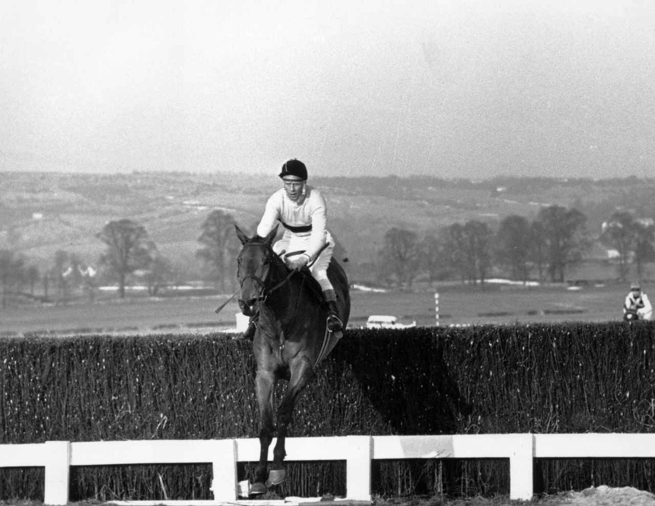 A legendary racehorse, Arkle has now been honored with his own beer. The three-time Cheltenham Gold Cup winner is the inspiration for "Arkle Ale," which is the product Arkell's Brewery. The beer will be on sales at Cheltenham racecourse, where Arkle won one of Britain's most famous races on three consecutive occasions between 1964 and 1966.