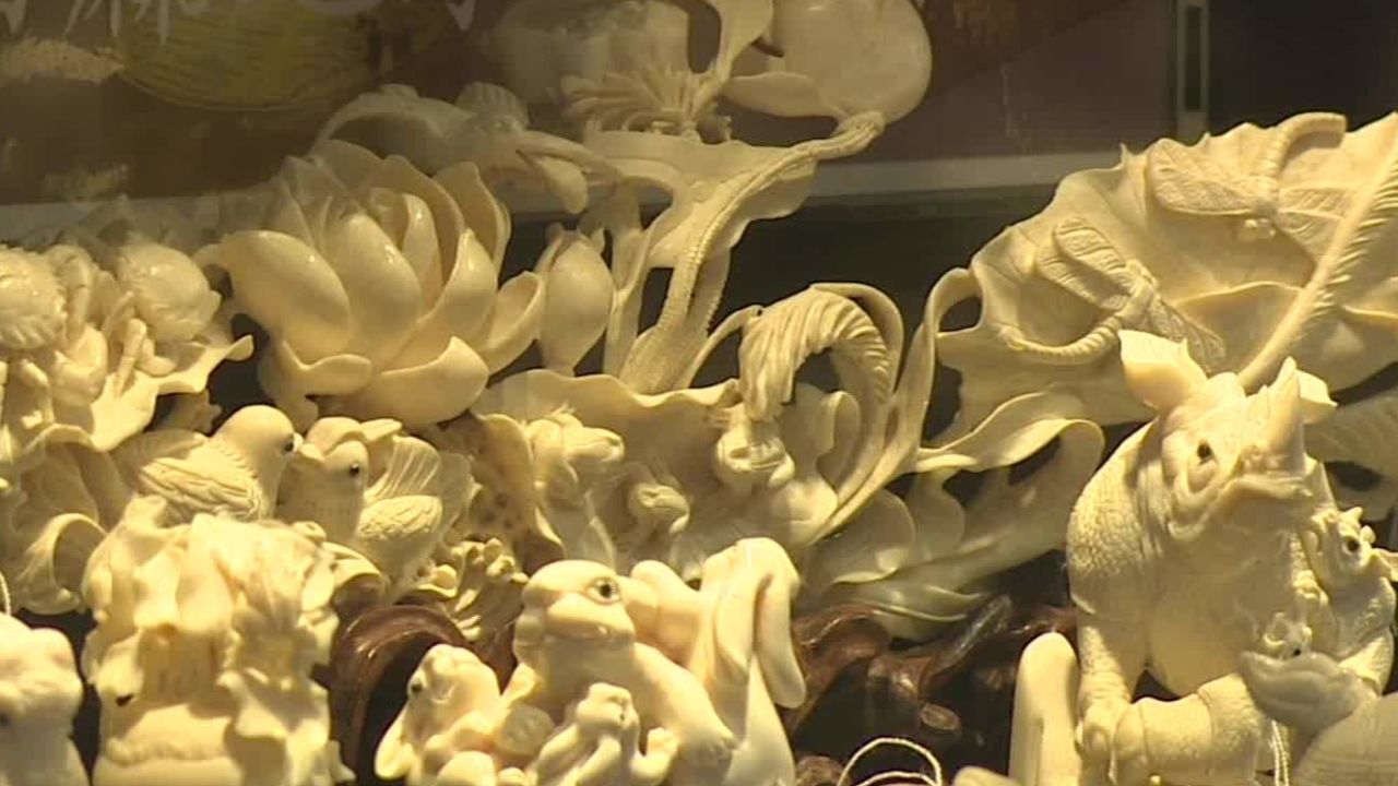 hong kong illegal ivory trade watson pkg_00020916.jpg