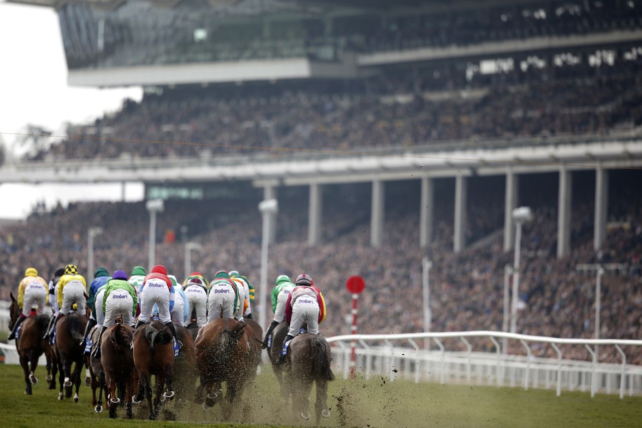 Cheltenham is one of the most prestigious racecourse in Britain and plays host to an annual festival, the highlight of which is the Cheltenham Gold Cup.