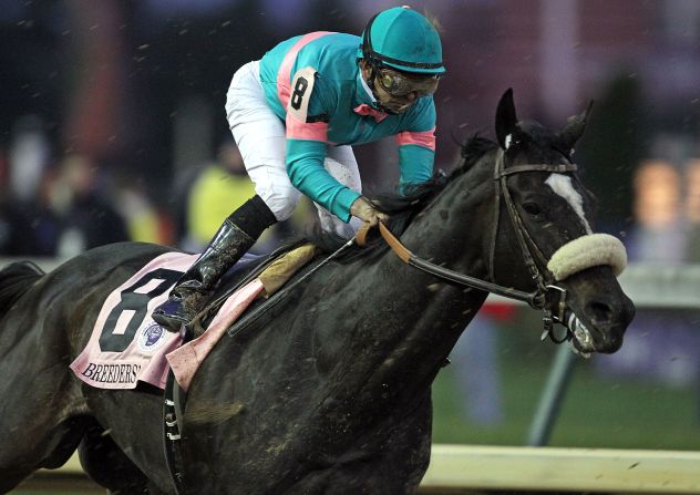 Arkle isn't the only racehorse who is a fan of the black stuff. Zenyatta is occasionally rewarded with Guinness if it wins a race.