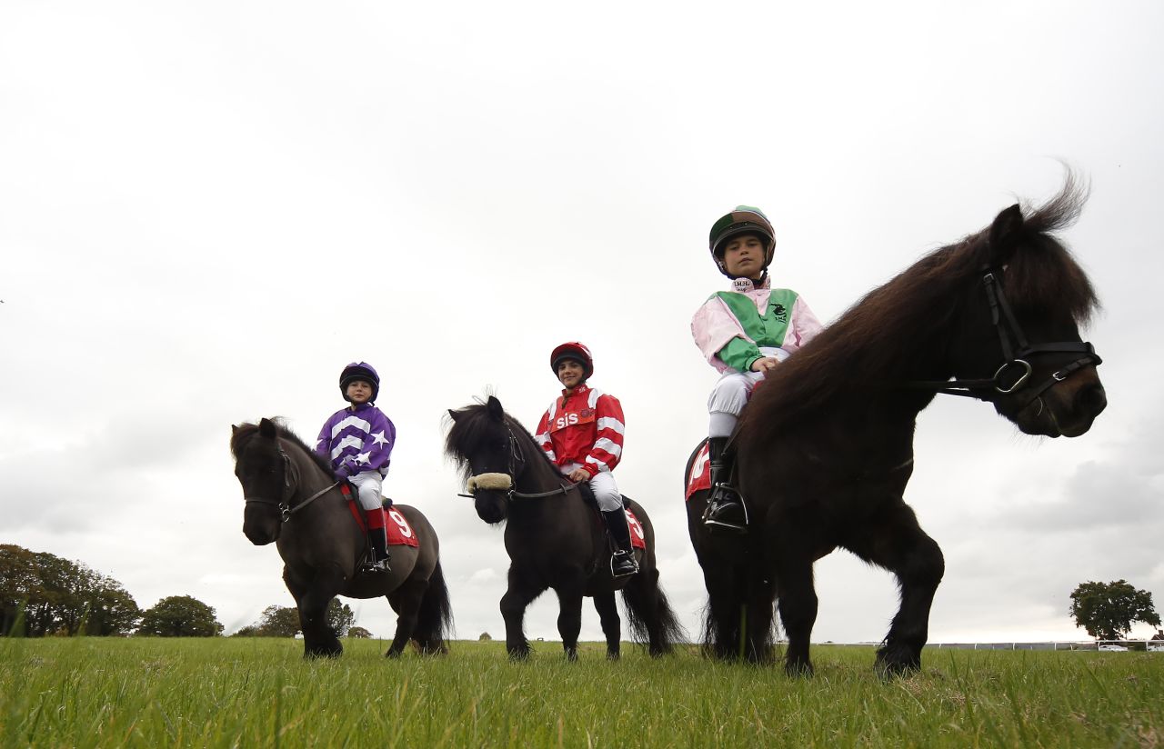 Located in East Sussex in southern England, Plumpton racecourse recently hosted the Shetland Pony Gold Cup.