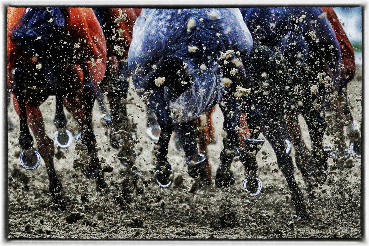 Runners kick up the Polytrack surface as they round the bend at Lingfield racecourse in April  2015. As well as its all-weather course,<br />Lingfield has a turf track, enabling it to provide both flat and jump action throughout the year.