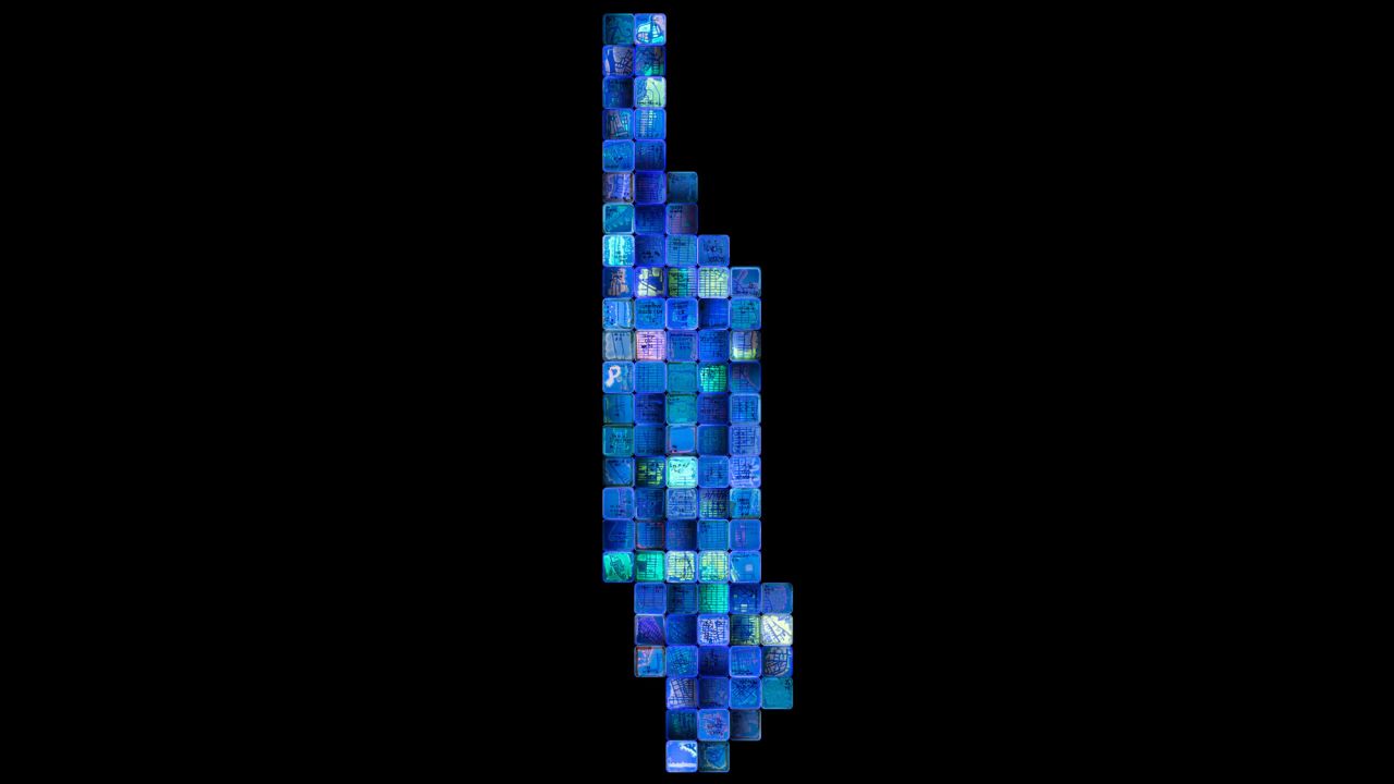 The "NYC Biome Map" is a collaborative project between citizen scientists and artists and is the second place winner.