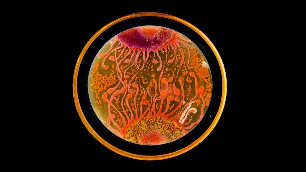 "Cell to Cell" was the people's choice winner with almost 3500 likes on Facebook.
