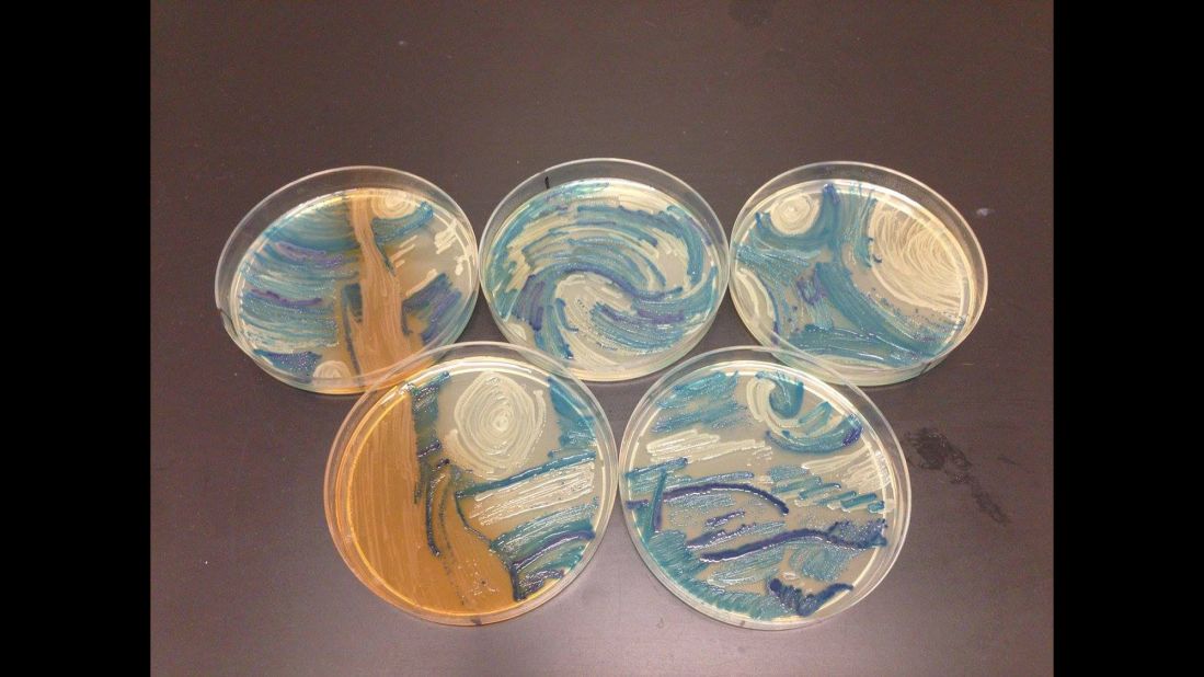Scientist used bacteria to create a version of Vincent van Gogh's  "Starry Night."