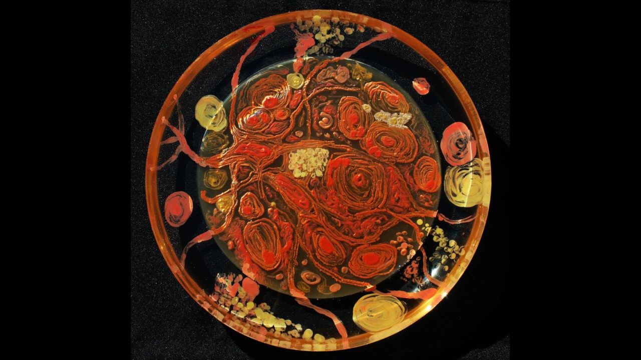 The artist used bacteria to create a pattern of cells.